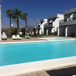 Mimosas *